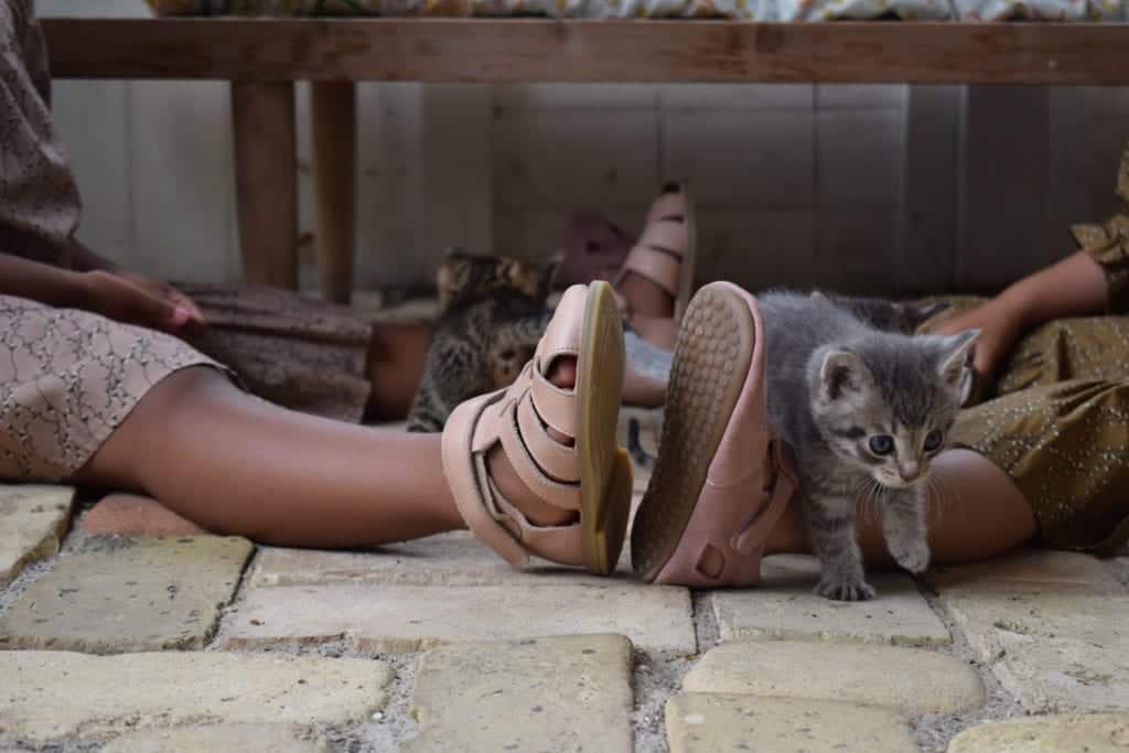 To piger med sandaler og en lille kattekilling